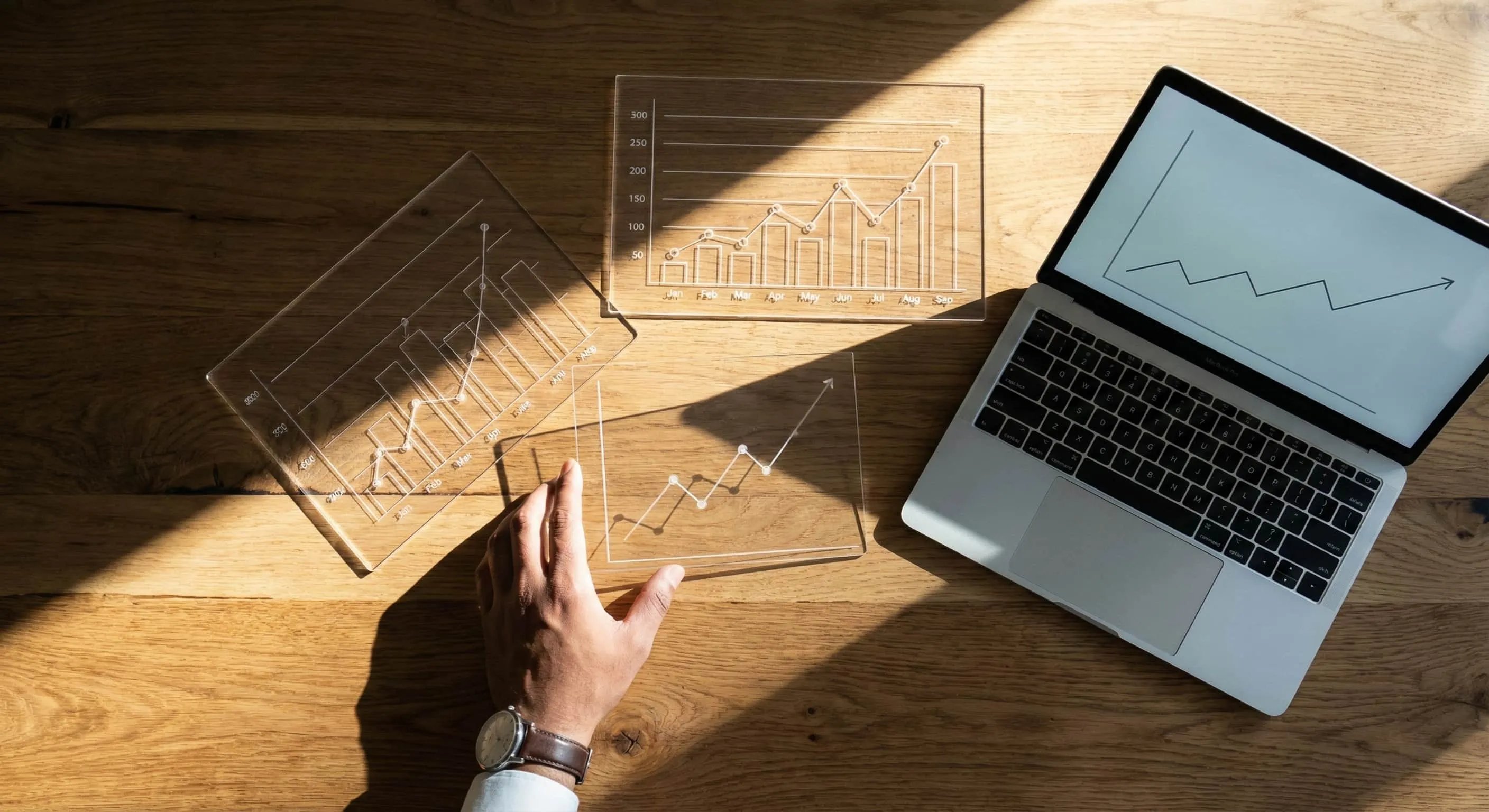 Investor Transparent